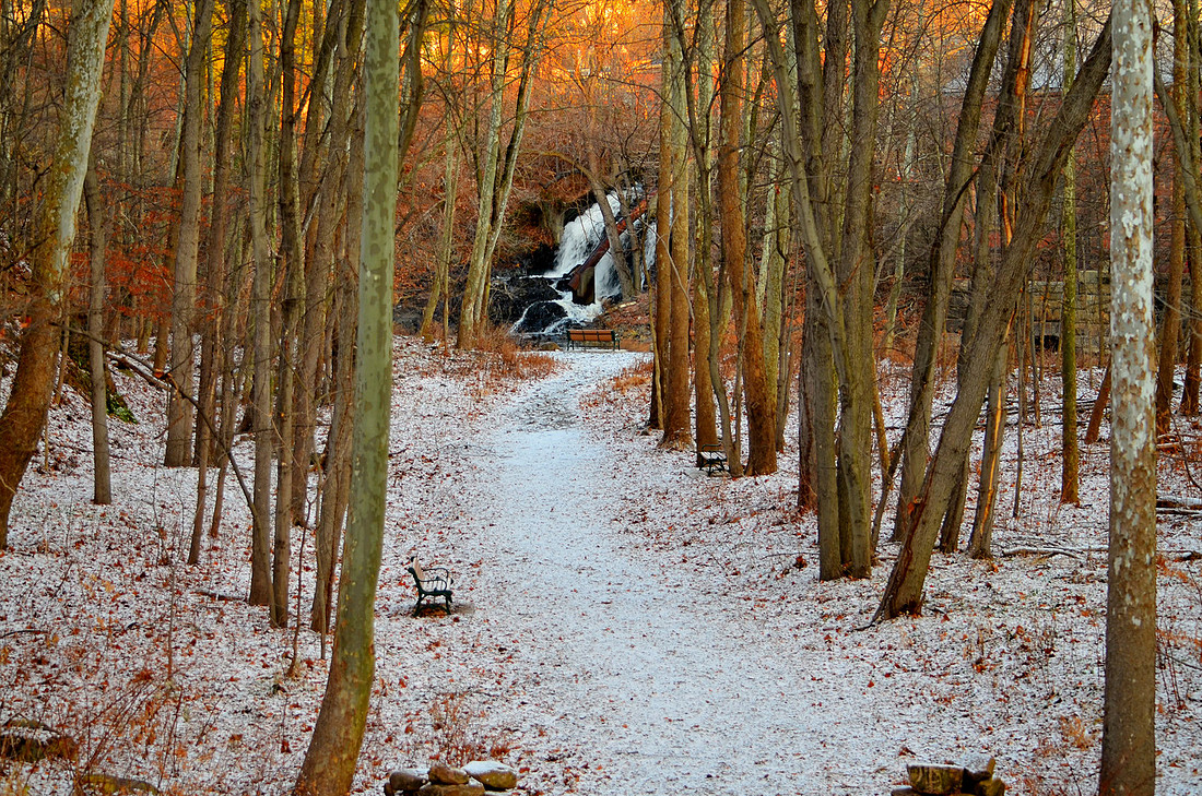 Snowy Benches