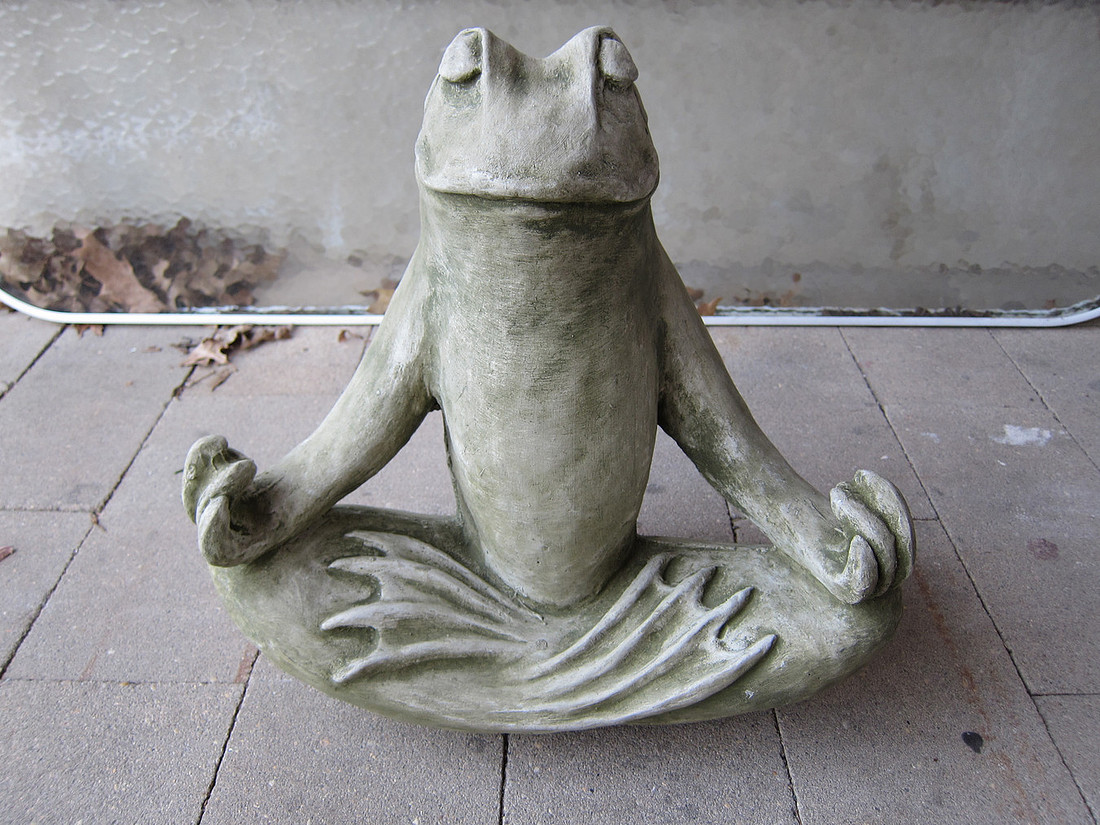 Zen Frog