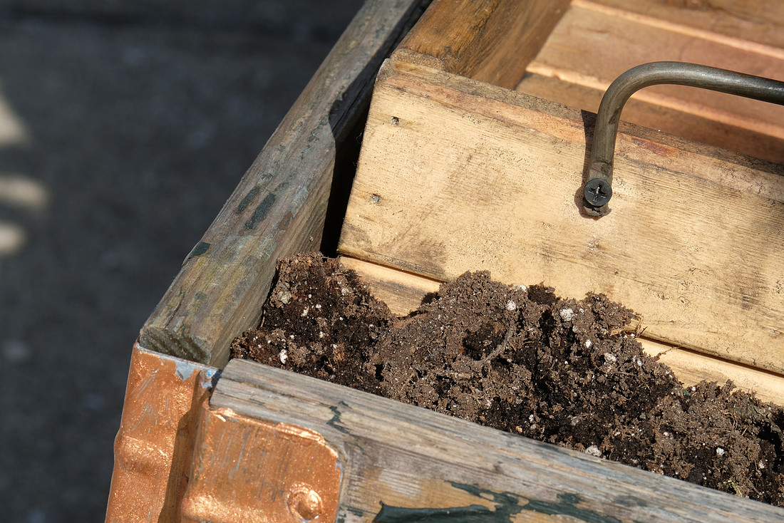 Wood and Soil