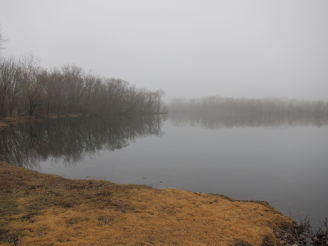 Foggy