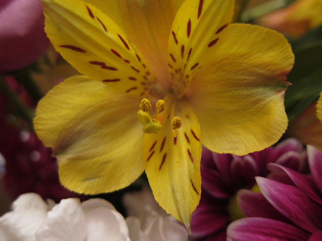 Yellow