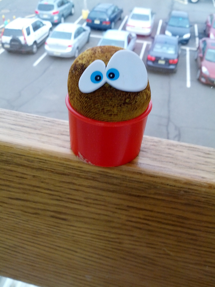Eyes