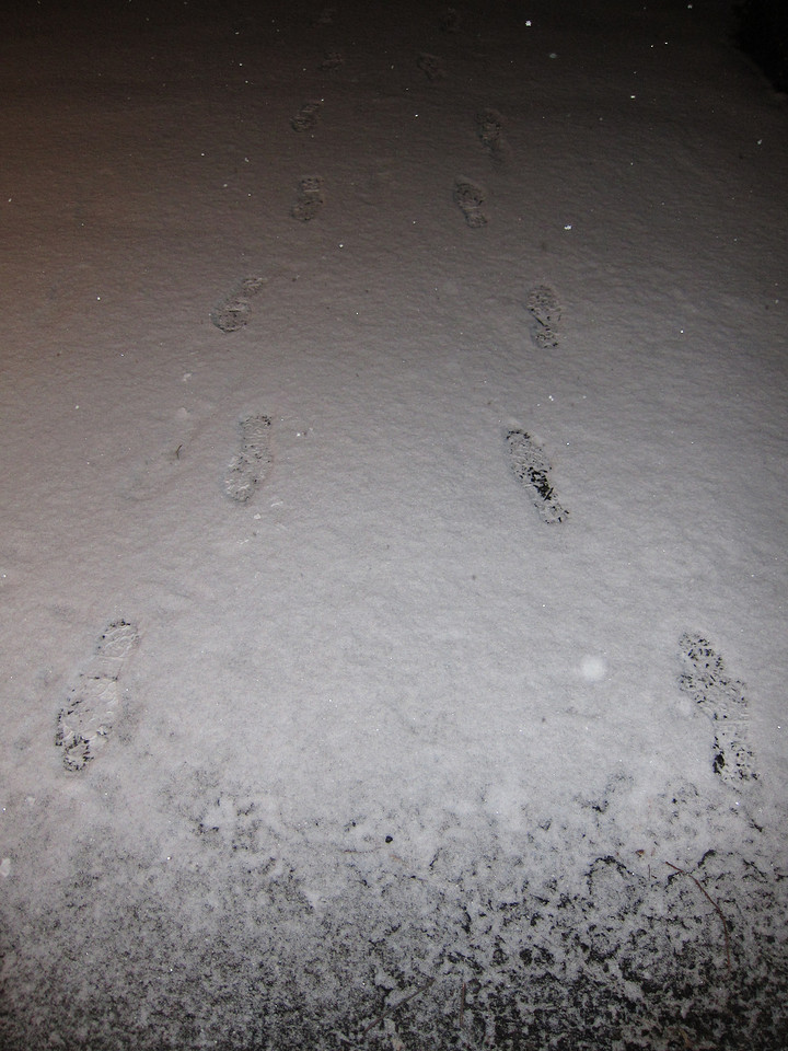 First Tracks