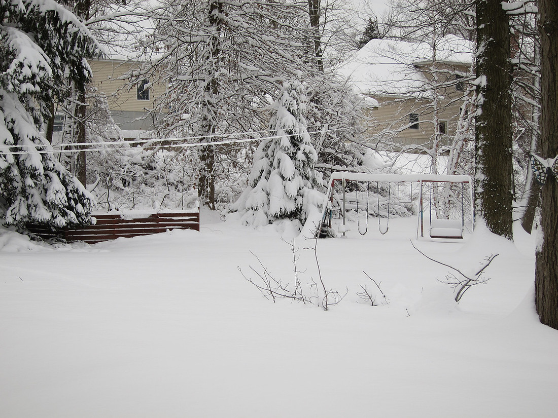 Post Nemo