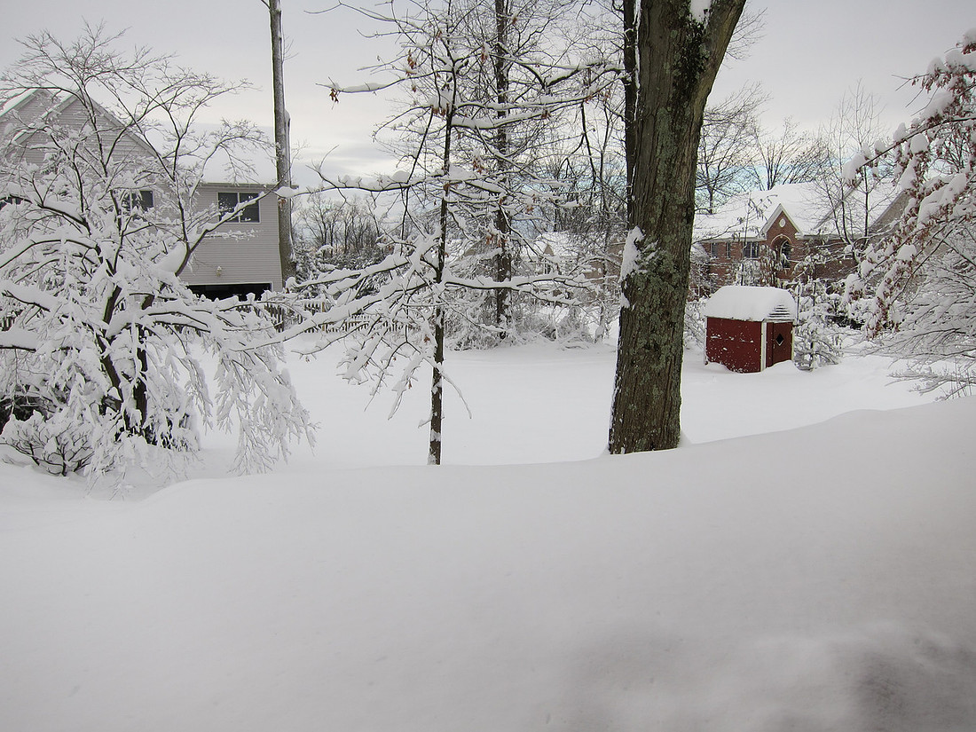 Post Nemo Two