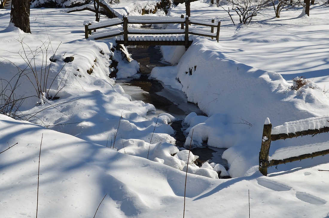 Snow Bridge