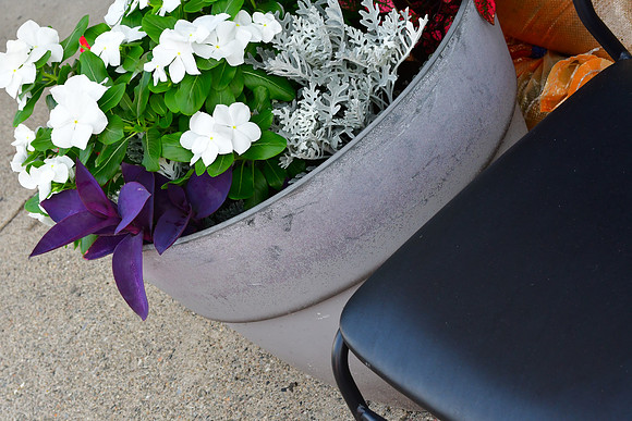 Seat Flowers