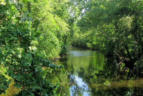 Cool and Green