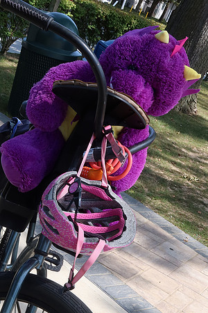 Purple Rider