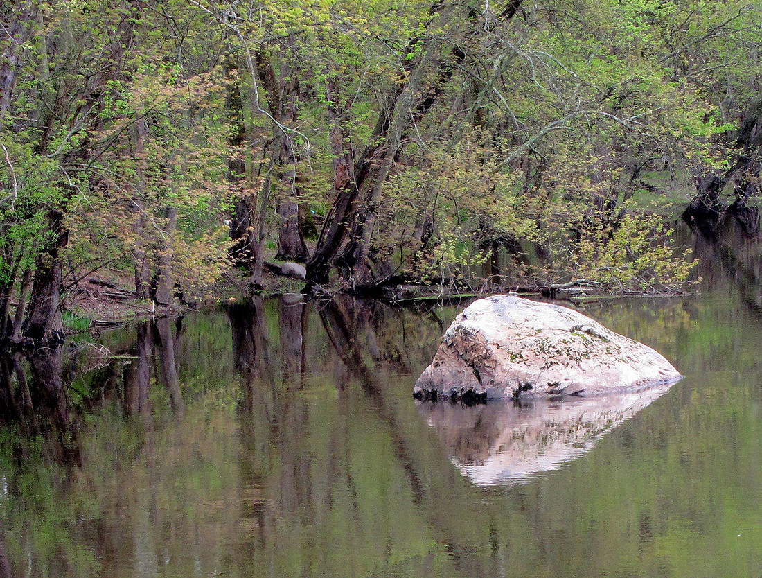 Rocky Reflection