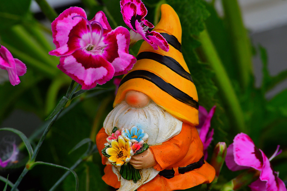 Flower Gnome