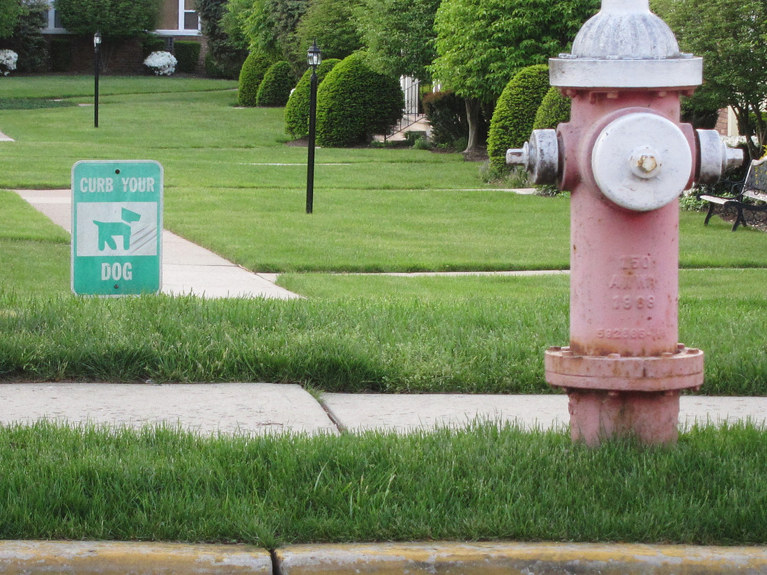 Curb