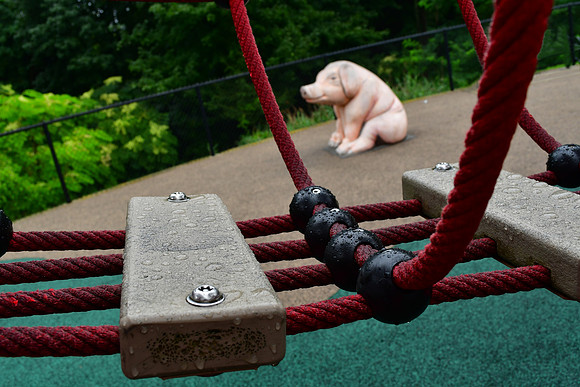 Playground Pig