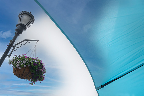 Umbrella Flower