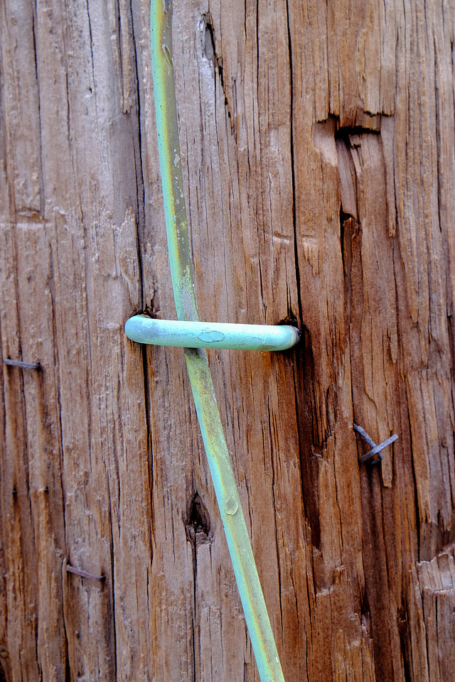 Big Green Staple