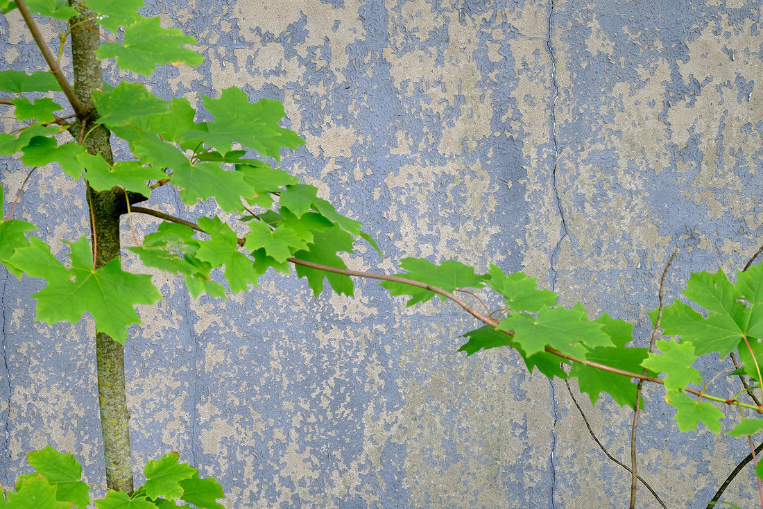 Green and Gray