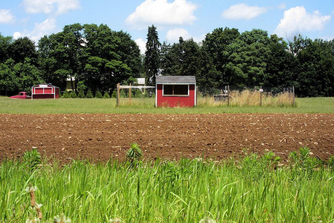 Farm Stand
