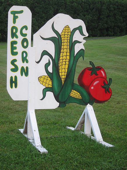 Fresh Corn