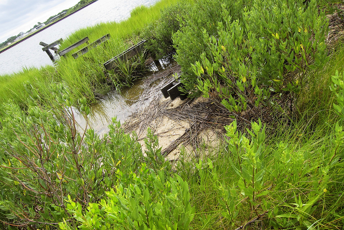 Hidden Dock