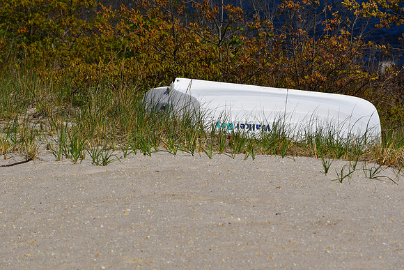 Grassy Boat