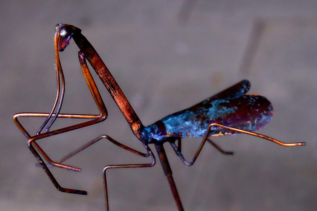 Mantis