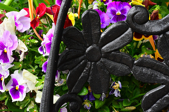 Chair Flowers