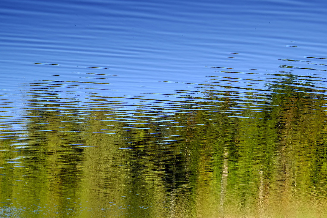 Ripples