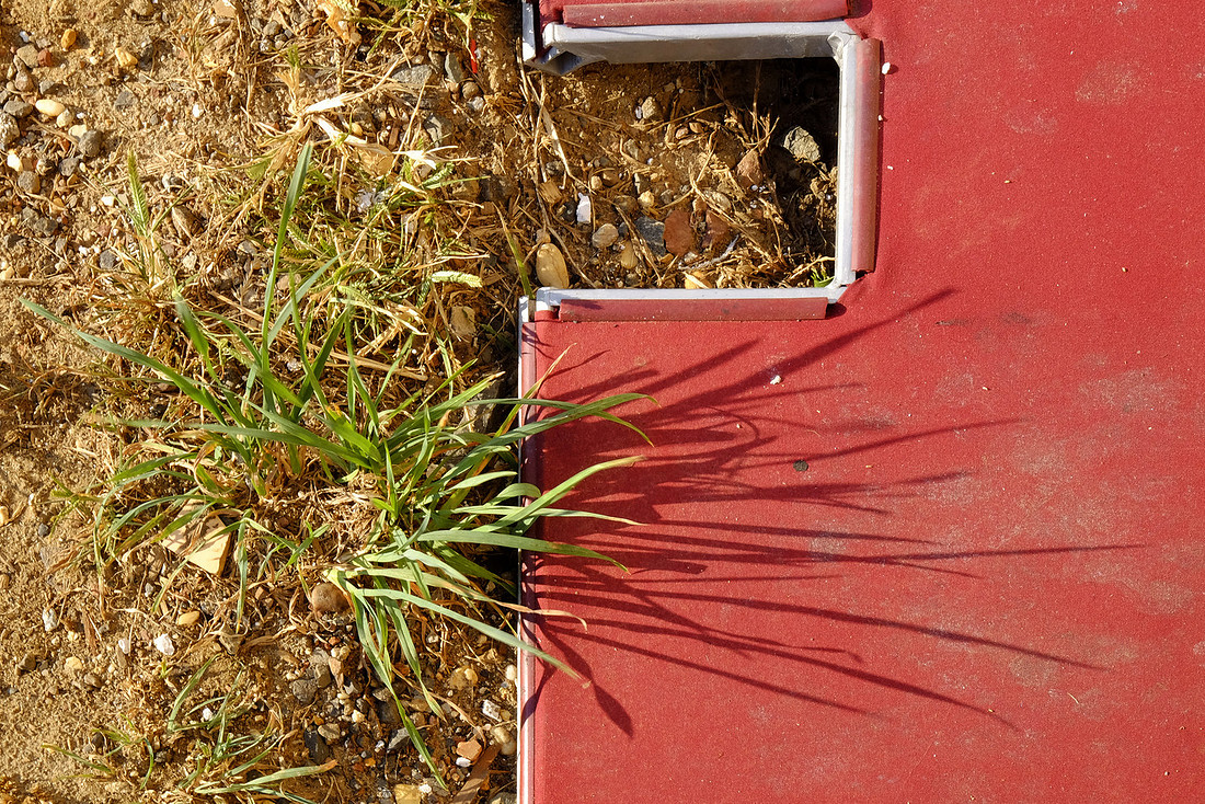 Grass Shadow