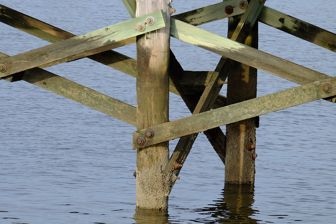 Under the Pier