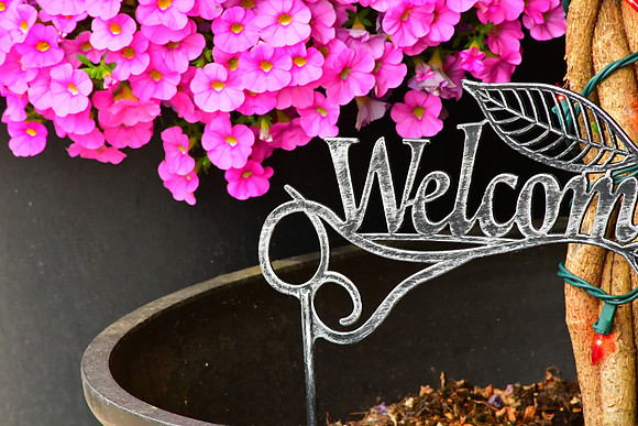 Welcom