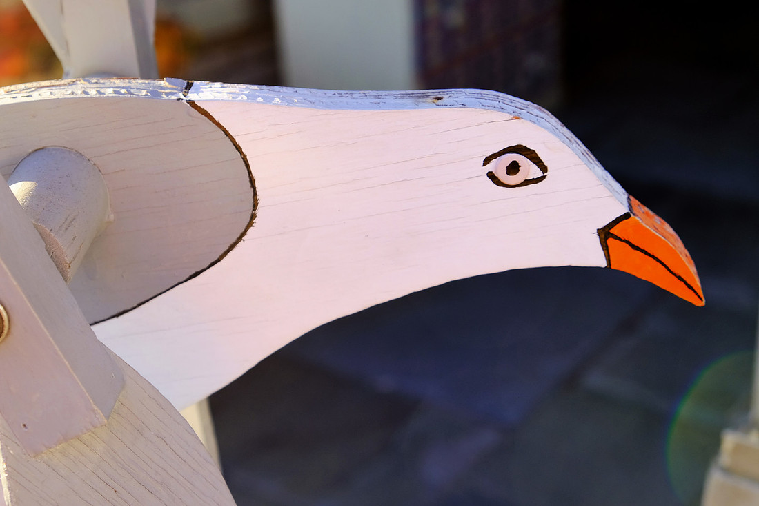 Beak