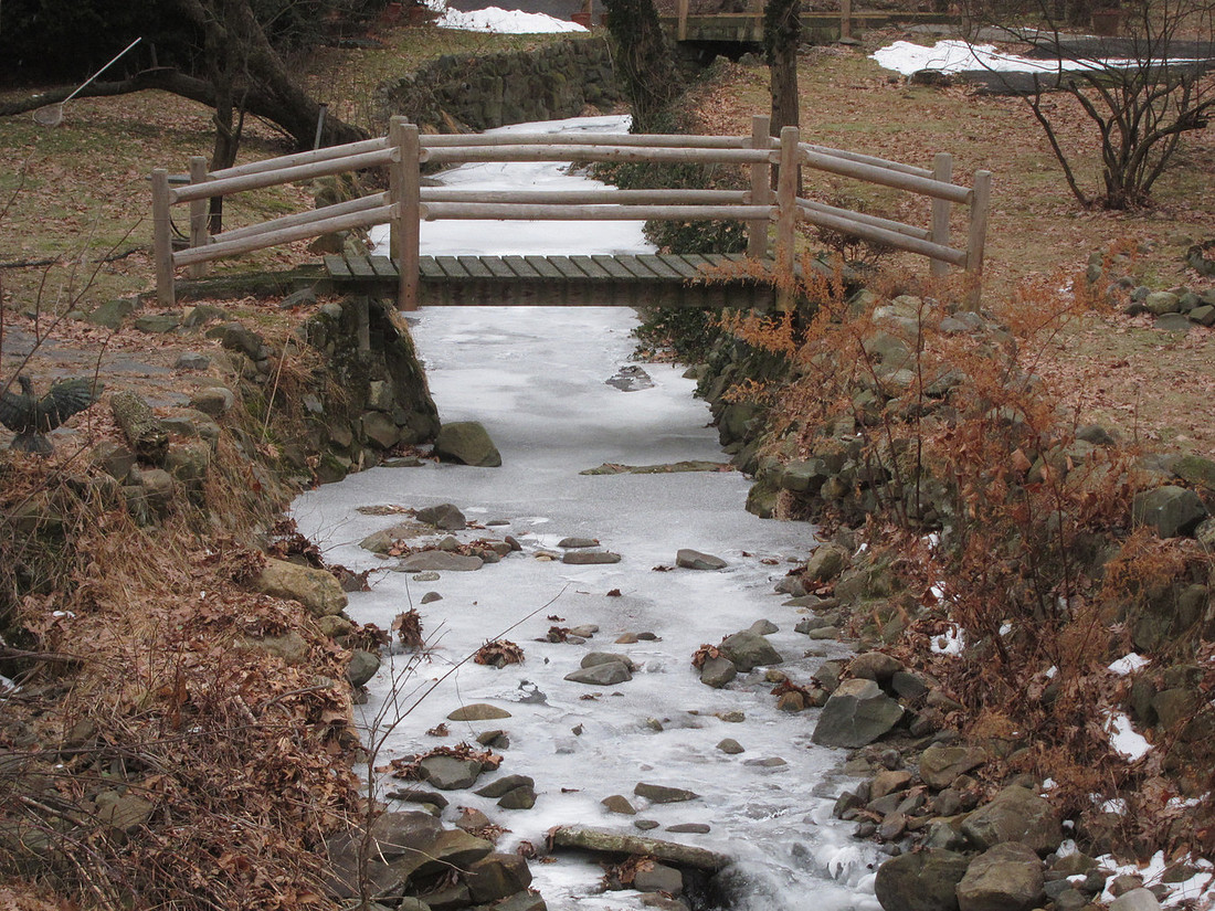 Frozen