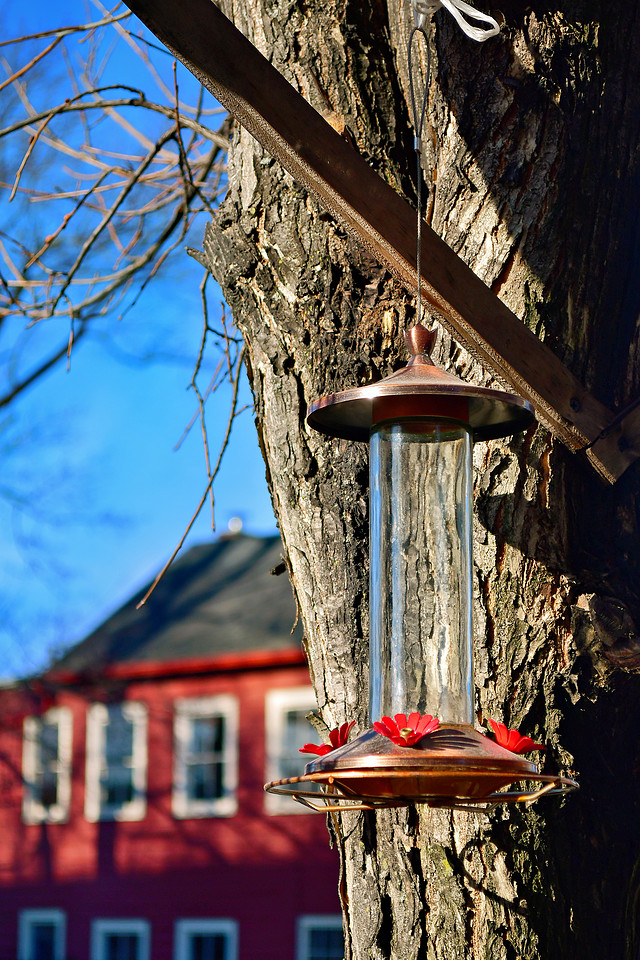 No Food