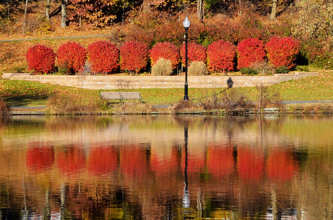 Red Reflections