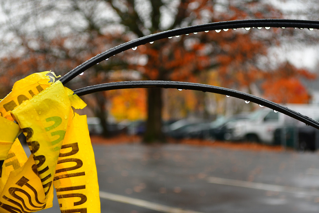 Rainy Arcs