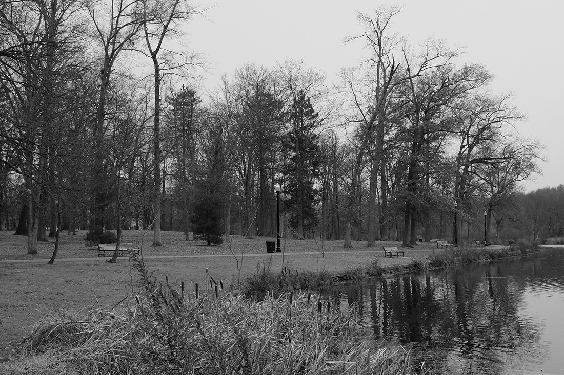 Empty Benches