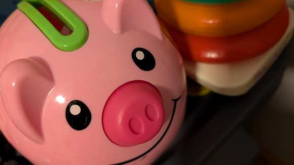Pink Piggy