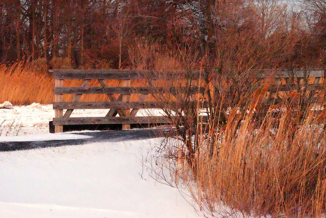 Winter Bridge