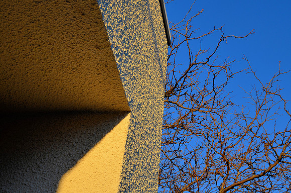 Lines and Branches