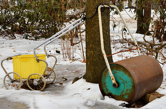Roller and Buggy