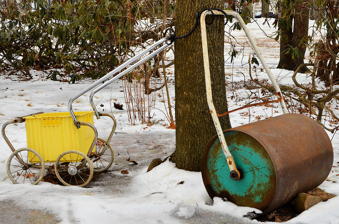 Roller and Buggy