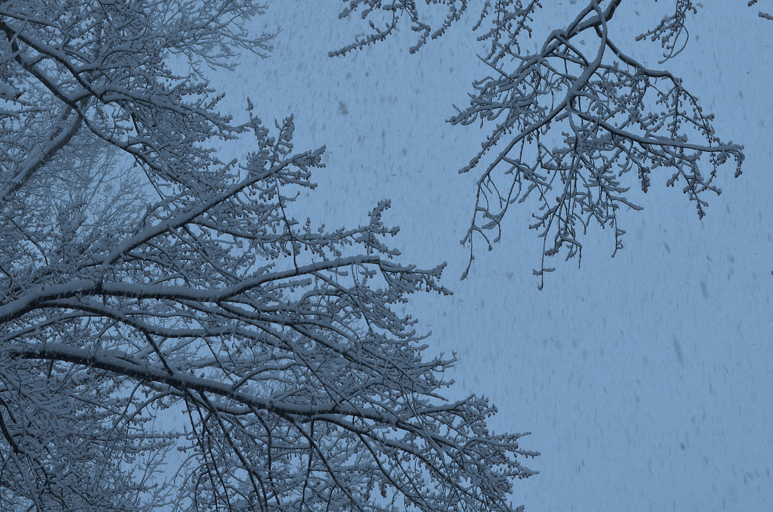 Blue Snow