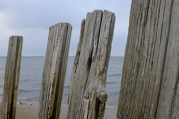 Sea Boards