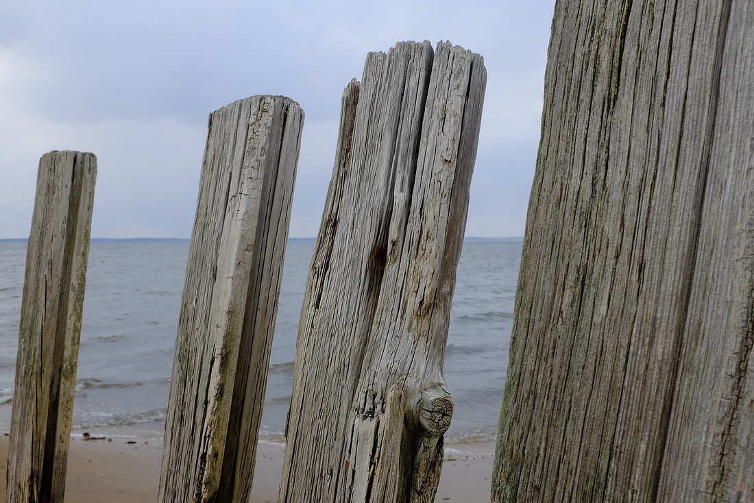 Sea Boards