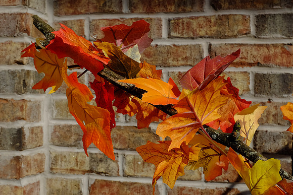Fake Fall