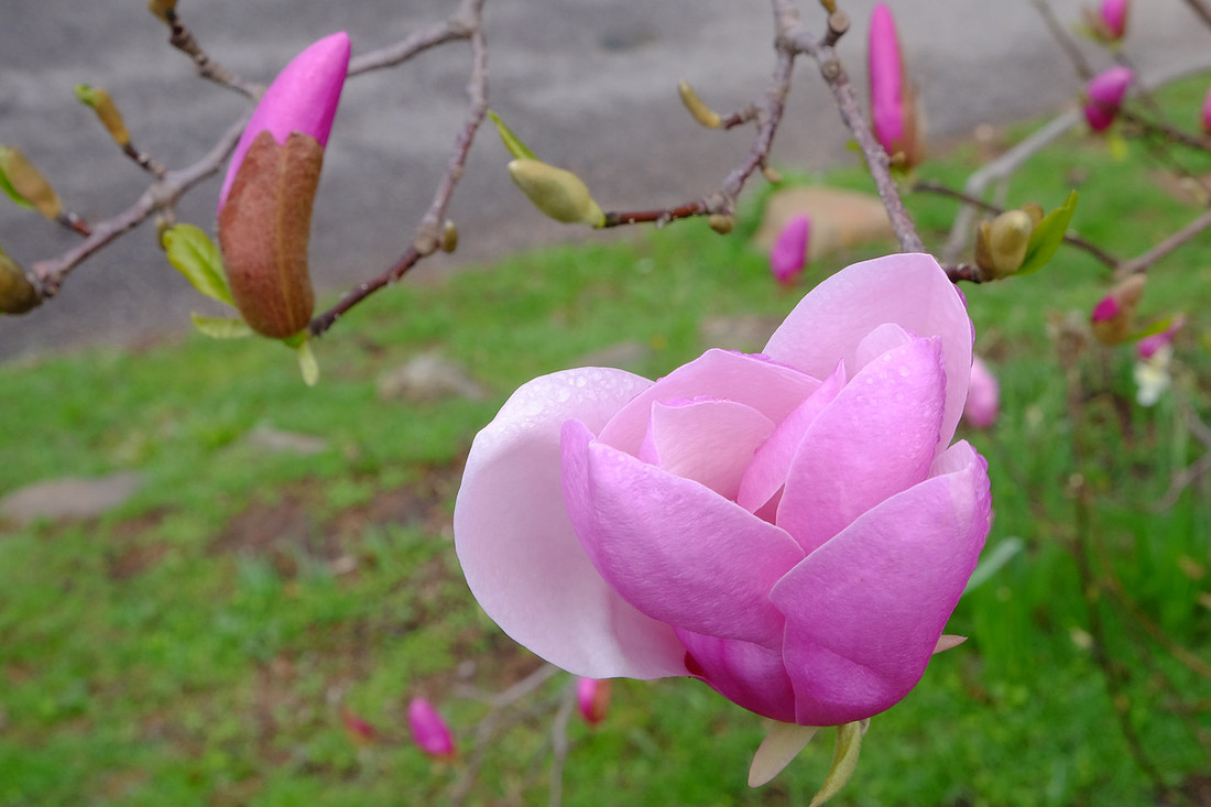 Unfolding