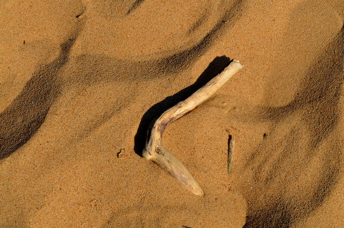 Sand and Wood
