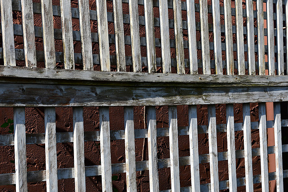 Bare Trellis