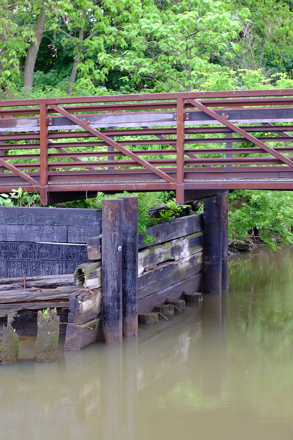 Muddy Water