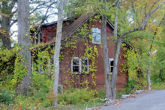 Abandoned and Overgrown